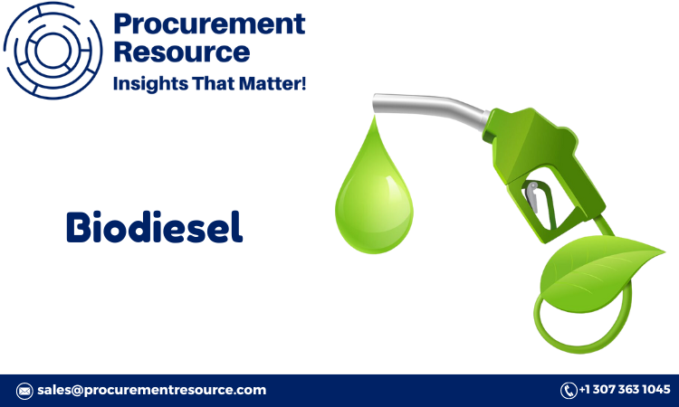 Biodiesel Production Costs: Your Comprehensive Guide to Staying Competitive in a Green World